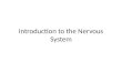 Introduction to the Nervous System. Neuron Multipolar neuron Axon Glial Cells Nucleus Nucleolus Dendrite Axon Hillock Cell body