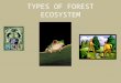 TYPES OF FOREST ECOSYSTEM. DECIDOUS FOREST Decidous forest: are dominated by Decidous trees. These trees shed their leaves each year and re grow them