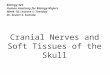 Biology 323 Human Anatomy for Biology Majors Week 10; Lecture 1; Tuesday Dr. Stuart S. Sumida Cranial Nerves and Soft Tissues of the Skull
