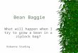 Bean Baggie What will happen when I try to grow a bean in a ziplock bag? Robanne Stading