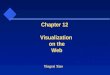 Yingcai Xiao Chapter 12 Visualization on the Web
