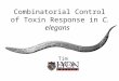 Combinatorial Control of Toxin Response in C. elegans Tim Lindblom