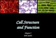 Cell Structure and Function Chapter 7 EOC Goal 2