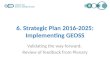 6. Strategic Plan 2016-2025: Implementing GEOSS Validating the way forward: Review of feedback from Plenary