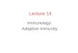 Lecture 14 Immunology: Adaptive Immunity. Principles of Immunity Naturally Acquired Immunity- happens through normal events Artificially Acquired Immunity