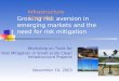 Growing risk aversion in emerging markets and the need for risk mitigation Workshop on Tools for Risk Mitigation in Small-scale Clean Infrastructure Projects