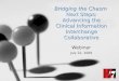Bridging the Chasm Next Steps: Advancing the Clinical Information Interchange Collaborative Webinar July 22, 2009