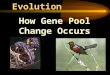 Evolution How Gene Pool Change Occurs. What exactly is a SPECIES? Species: Group of similar organisms that can breed and produce fertile offspring Example:
