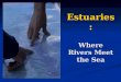 Estuaries: Where Rivers Meet the Sea. The Nature of an Estuary Collision of fresh river water flowing seaward and ocean water pushing inland. Collision