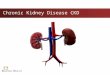 Chronic Kidney Disease CKD. Definition of Chronic Kidney Disease Kidney Damage for ≥ 3 months as defined by structural or functional abnormalities of