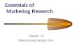 Essentials of Marketing Research Chapter 13: Determining Sample Size