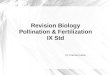 Revision Biology Pollination & Fertilization IX Std Dr. Pramila Kudva