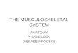 THE MUSCULOSKELETAL SYSTEM ANATOMY PHYSIOLOGY DISEASE PROCESS