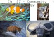 1 Ch. 47 – Community Ecology. Community Ecology 2 Concept of Community A community is an assemblage of populations interacting with one another within