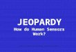JEOPARDY How do Human Sensors Work? Center for Computational Neurobiology, University of Missouri