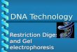 DNA Technology Restriction Digests and Gel electrophoresis
