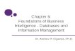 Chapter 6: Foundations of Business Intelligence - Databases and Information Management Dr. Andrew P. Ciganek, Ph.D
