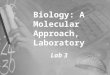 Biology: A Molecular Approach, Laboratory Lab 3. Today’s Plan Business Mosquito Trapping Scientific Writeups Lab Math