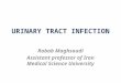 URINARY TRACT INFECTION Robab Maghsoudi Assistant professor of Iran Medical Science University
