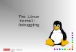 CS591 (Spring 2001) The Linux Kernel: Debugging. CS591 (Spring 2001) Accessing the “Black Box” n Kernel code: n Not always executed in context of a process