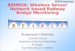 BRIMON: Wireless Sensor Network based Railway Bridge Monitoring Kameswari Chebrolu Assistant Professor Department of Electrical Engineering IIT Kanpur