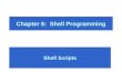 Chapter 6: Shell Programming Shell Scripts. Using the UNIX Shell as a Programming Objectives: After studying this lesson, you should be able to: –Learn