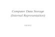 Computer Data Storage (Internal Representation) Fall 2012