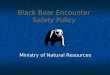 Black Bear Encounter Safety Policy Ministry of Natural Resources