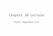 Chapter 38 Lecture Plant Reproduction. CHAPTER 38 PLANT REPRODUCTION AND BIOTECHNOLOGY Copyright © 2002 Pearson Education, Inc., publishing as Benjamin