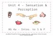 Unit 4 - Sensation & Perception RG 4a - Intro. to S & P