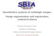 Quantitative analysis of radiologic images: Image segmentation and registration, statistical atlases Christos Davatzikos, Ph.D. Professor of Radiology