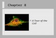 Chapter 8 n A Tour of the Cell. How can we see cells? n Light microscope – Uses light and lenses to magnify n Electron microscope – Uses beam of electrons