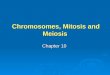 Chromosomes, Mitosis and Meiosis Chromosomes, Mitosis and Meiosis Chapter 10