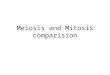 Meiosis and Mitosis comparision. Mitosis: If a cell wants to make a duplicate of itself, it first must copy its DNA (part of a chromosome). The copies