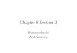 Chapter 8 Section 2 Photosynthesis: An Overview. Photosynthesis Plants use the energy of sunlight to convert water and carbon dioxide into oxygen and