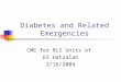 Diabetes and Related Emergencies CME for BLS Units of ES Hatzalah 2/16/2004