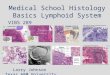 Medical School Histology Basics Lymphoid System VIBS 289 lab Larry Johnson Texas A&M University
