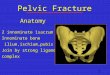 Pelvic Fracture AnatomyAnatomy 2 innominate 1sacrum 2 innominate 1sacrum Innominate bone ilium,ischium,pubis Innominate bone ilium,ischium,pubis Join