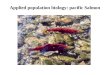 Applied population biology: pacific Salmon. Topics relevant to salmon conservation Environmental stochasticity Selection vs. Drift Maladaptation Competition