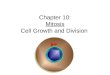 Chapter 10: Mitosis Cell Growth and Division. Cell Division Cell Division – cell divides into two new IDENTICAL “daughter cells” Mitosis – division of