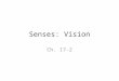 Senses: Vision Ch. 17-2. Accessory Structures of Eye Eyelids Eyelashes Eyebrows Lacrimal apparatus Extrinsic eye muscles