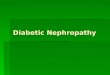 Diabetic Nephropathy. Outline  Introduction of diabetic nephropathy  Manifestations of diabetic nephropathy  Staging of diabetic nephropathy  Microalbuminuria