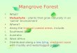 Mangrove Forest What? Halophyte – plants that grow naturally in an ‘saline’ environment Where? Along the tropical coastal areas, include: i.Southeast