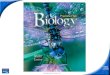 Slide 1 of 20 Copyright Pearson Prentice Hall Biology
