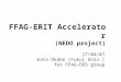 FFAG-ERIT Accelerator (NEDO project) 17/04/07 Kota Okabe (Fukui Univ.) for FFAG-DDS group
