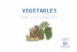 VEGETABLES Vary your veggies!. VEGETABLES Why do I need to eat vegetables? Vitamin A Vitamin C Fiber Phytochemicals Minerals