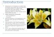 Introduction Monocots: A monocot is a plant that produces one seed leaf, as opposed to a dicot which is a plant that produces two leaf seeds. A plant that