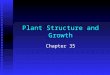 Plant Structure and Growth Chapter 35. n n Objectives F F List the differences between dicotyledons and monocotyledons F F Describe the basic structure