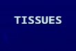 TISSUES. STRUCTURAL ORGANIZATION ► Life is characterized by hierarchical orders of organization  Atoms  Molecules  Organelles  Cells  Tissues  Organs