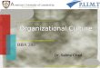 Organizational Culture Dr. Salma Chad BBA 200. Organizational Culture ? ?
